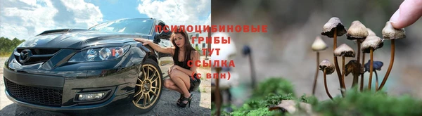 бутират Алексин