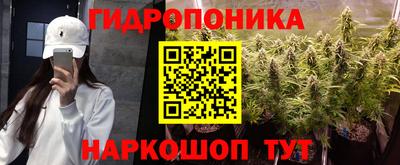 альфа пвп Гусев