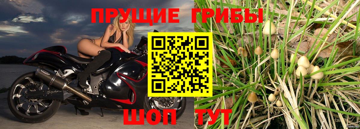 Галлюциногенные грибы мухоморы  Вход с VPN  Нововоронеж 
