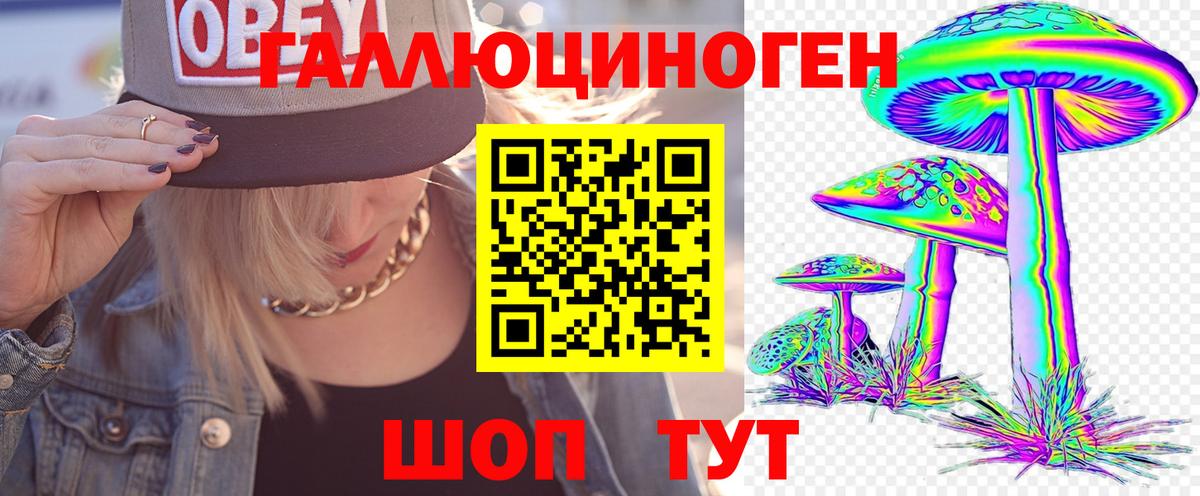 Галлюциногенные грибы Cubensis Нововоронеж