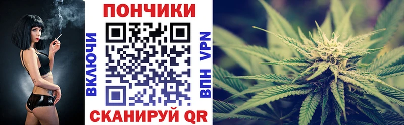 Шишки марихуана сатива  Нововоронеж 